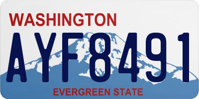WA license plate AYF8491