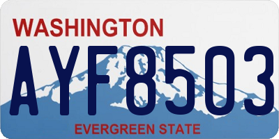 WA license plate AYF8503
