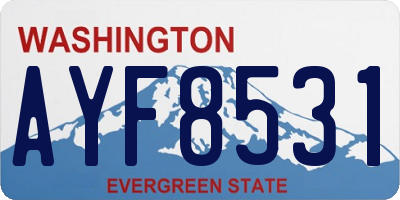 WA license plate AYF8531