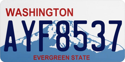 WA license plate AYF8537
