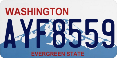WA license plate AYF8559