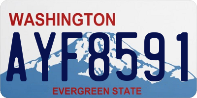 WA license plate AYF8591
