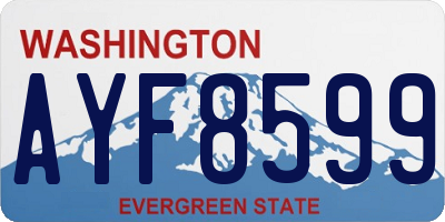 WA license plate AYF8599
