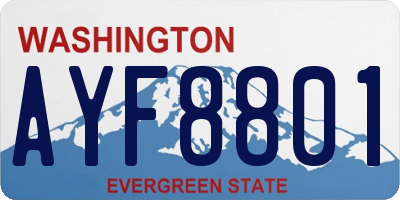 WA license plate AYF8801