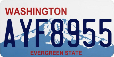 WA license plate AYF8955