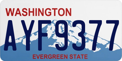 WA license plate AYF9377
