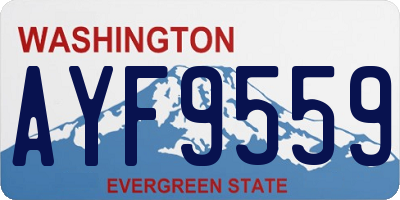 WA license plate AYF9559