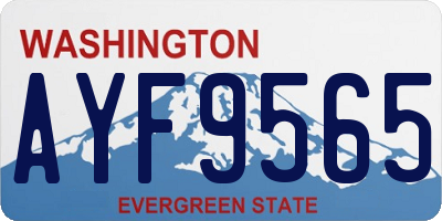 WA license plate AYF9565