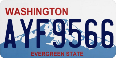 WA license plate AYF9566