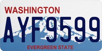 WA license plate AYF9599