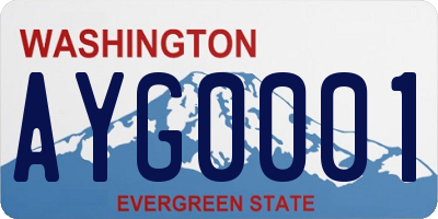WA license plate AYG0001