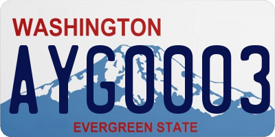 WA license plate AYG0003