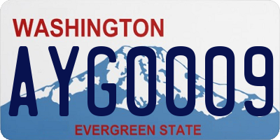 WA license plate AYG0009