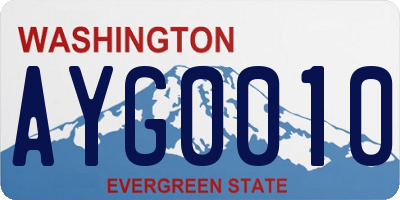 WA license plate AYG0010