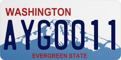 WA license plate AYG0011