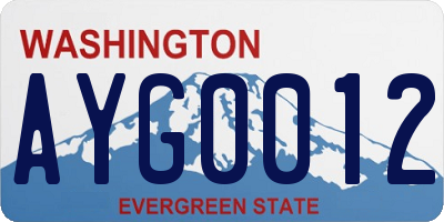 WA license plate AYG0012