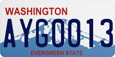 WA license plate AYG0013