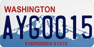 WA license plate AYG0015