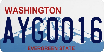 WA license plate AYG0016