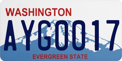 WA license plate AYG0017