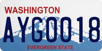 WA license plate AYG0018