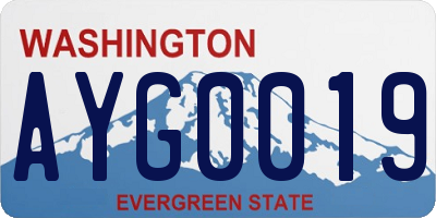 WA license plate AYG0019