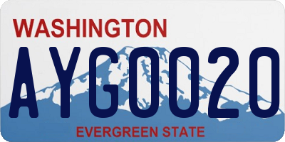 WA license plate AYG0020