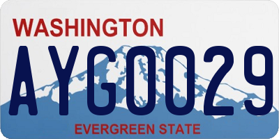 WA license plate AYG0029