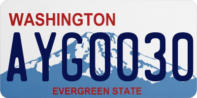 WA license plate AYG0030