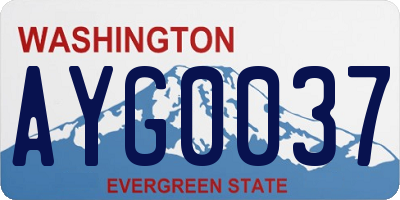 WA license plate AYG0037