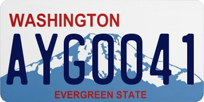 WA license plate AYG0041