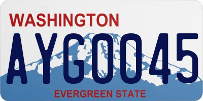 WA license plate AYG0045