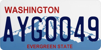 WA license plate AYG0049