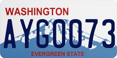 WA license plate AYG0073