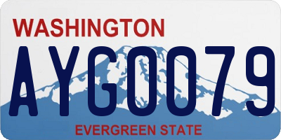 WA license plate AYG0079