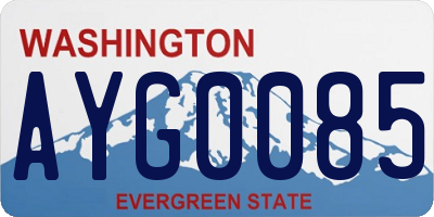 WA license plate AYG0085