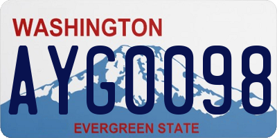 WA license plate AYG0098