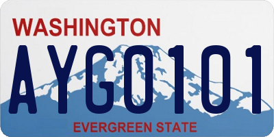 WA license plate AYG0101