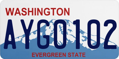 WA license plate AYG0102