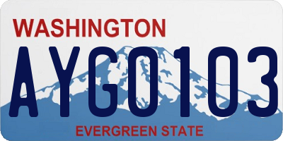 WA license plate AYG0103
