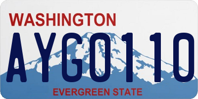 WA license plate AYG0110