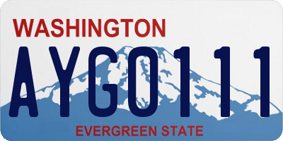 WA license plate AYG0111