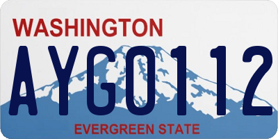 WA license plate AYG0112