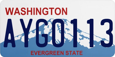 WA license plate AYG0113