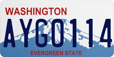 WA license plate AYG0114