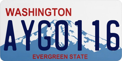 WA license plate AYG0116