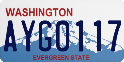 WA license plate AYG0117