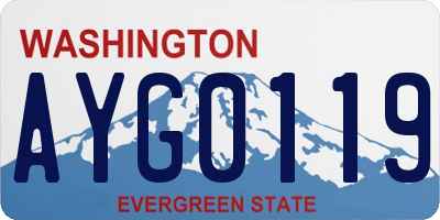 WA license plate AYG0119