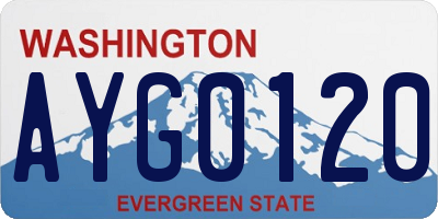 WA license plate AYG0120