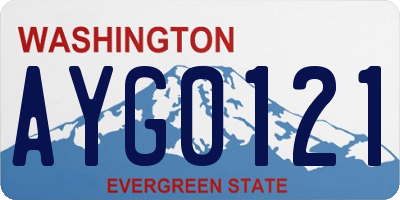WA license plate AYG0121